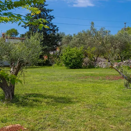 Haus Reni In - Haus Fuer 2-4 Personen Holiday home *
